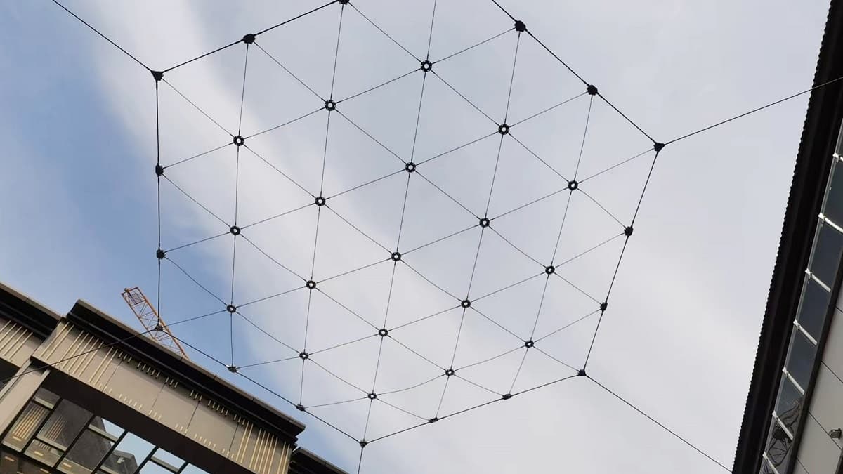 mesh membrane-a01