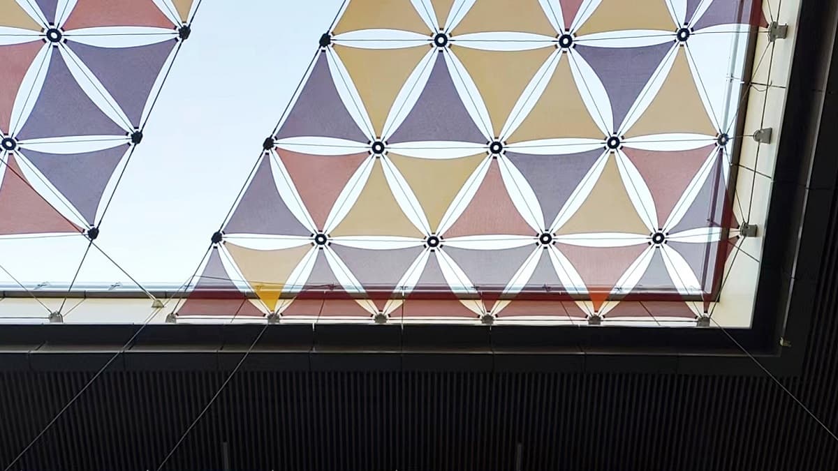 mesh membrane-a03